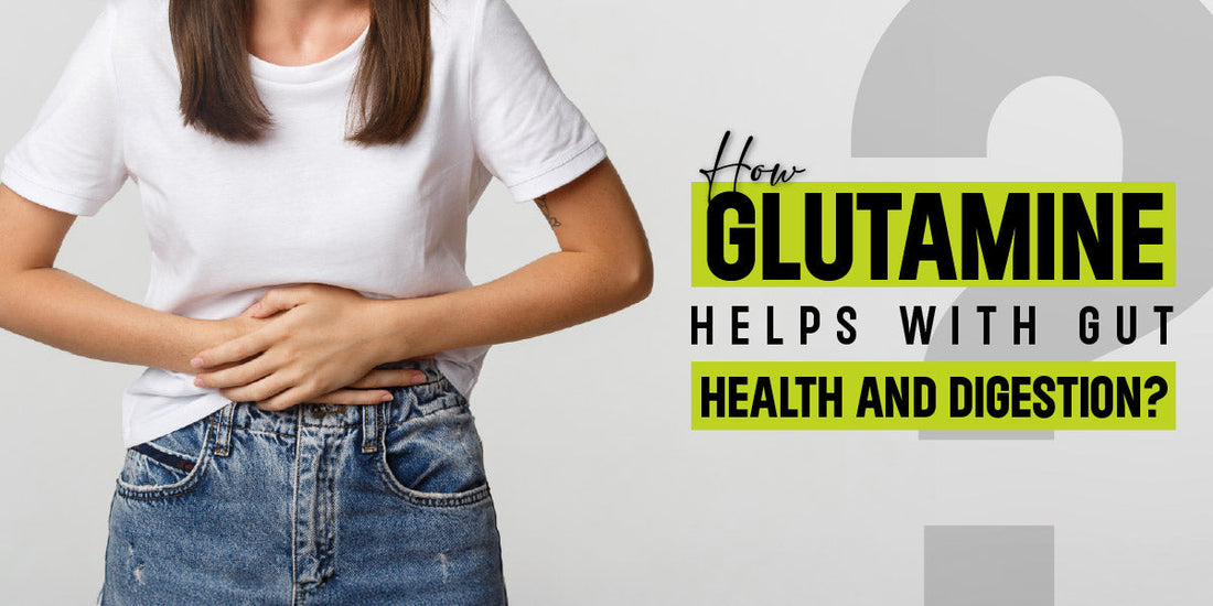 How Glutamine Helps with Gut Health & Digestion: A Science-Backed Guide