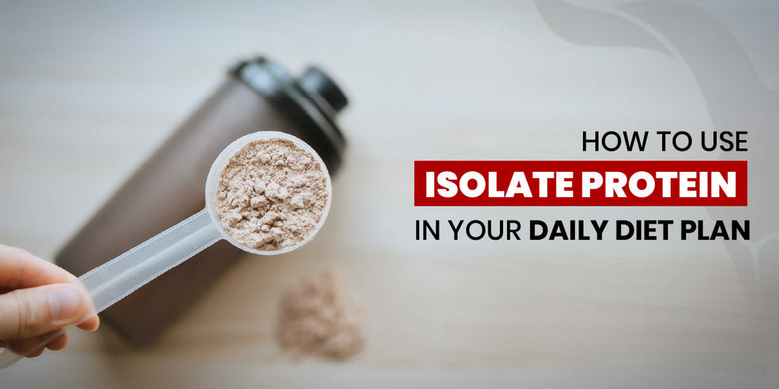 How to Use Isolate Protein in Your Daily Diet Plan