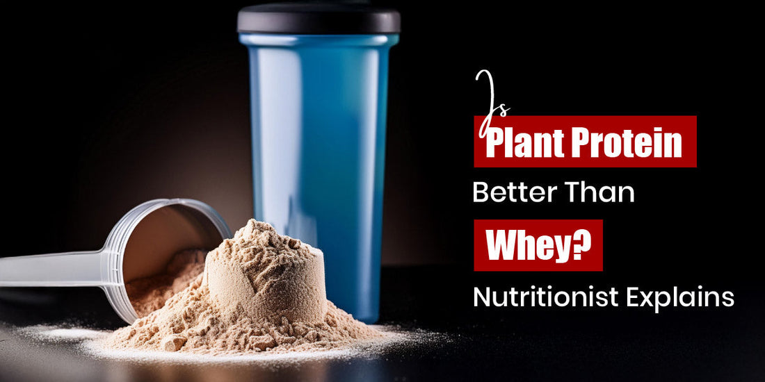 Nutritionist comparing plant and whey protein