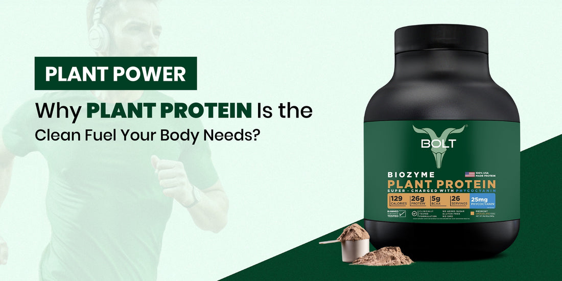 Why plant protein is the clean fuel your body needs?