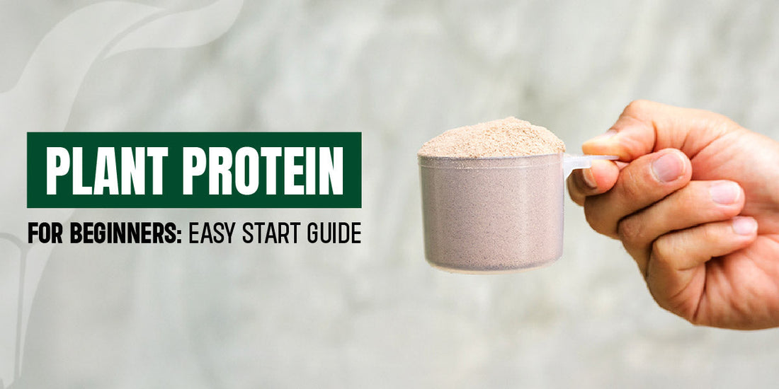 Best Plant Protein Powder for Beginners