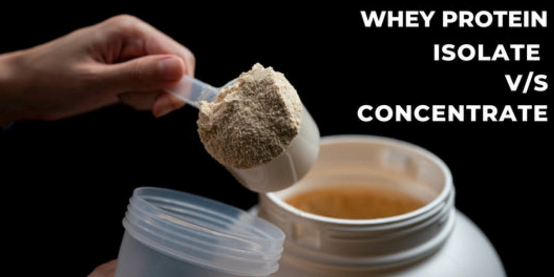 bolt whey protein isolate vs concentrate