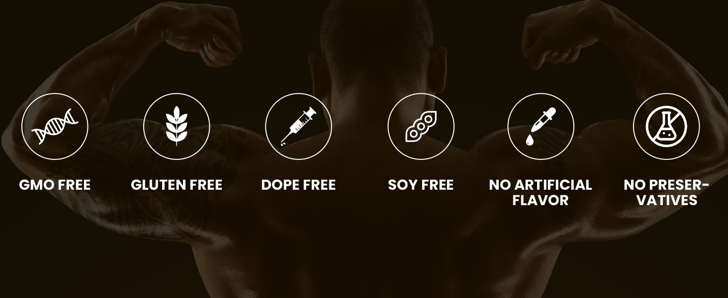 beginner whey protein, whey protein powder, whey protein