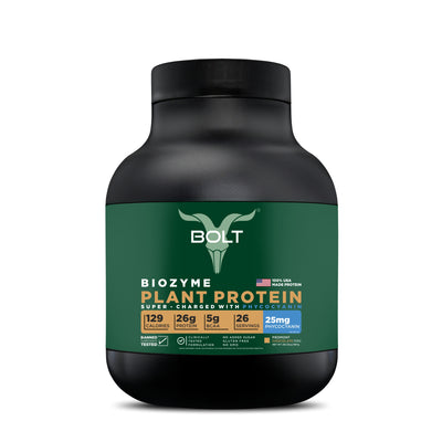 Piedmont Chocolate, best plant protein powder