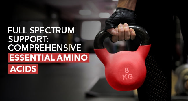 beginner whey protein, whey protein powder, whey protein