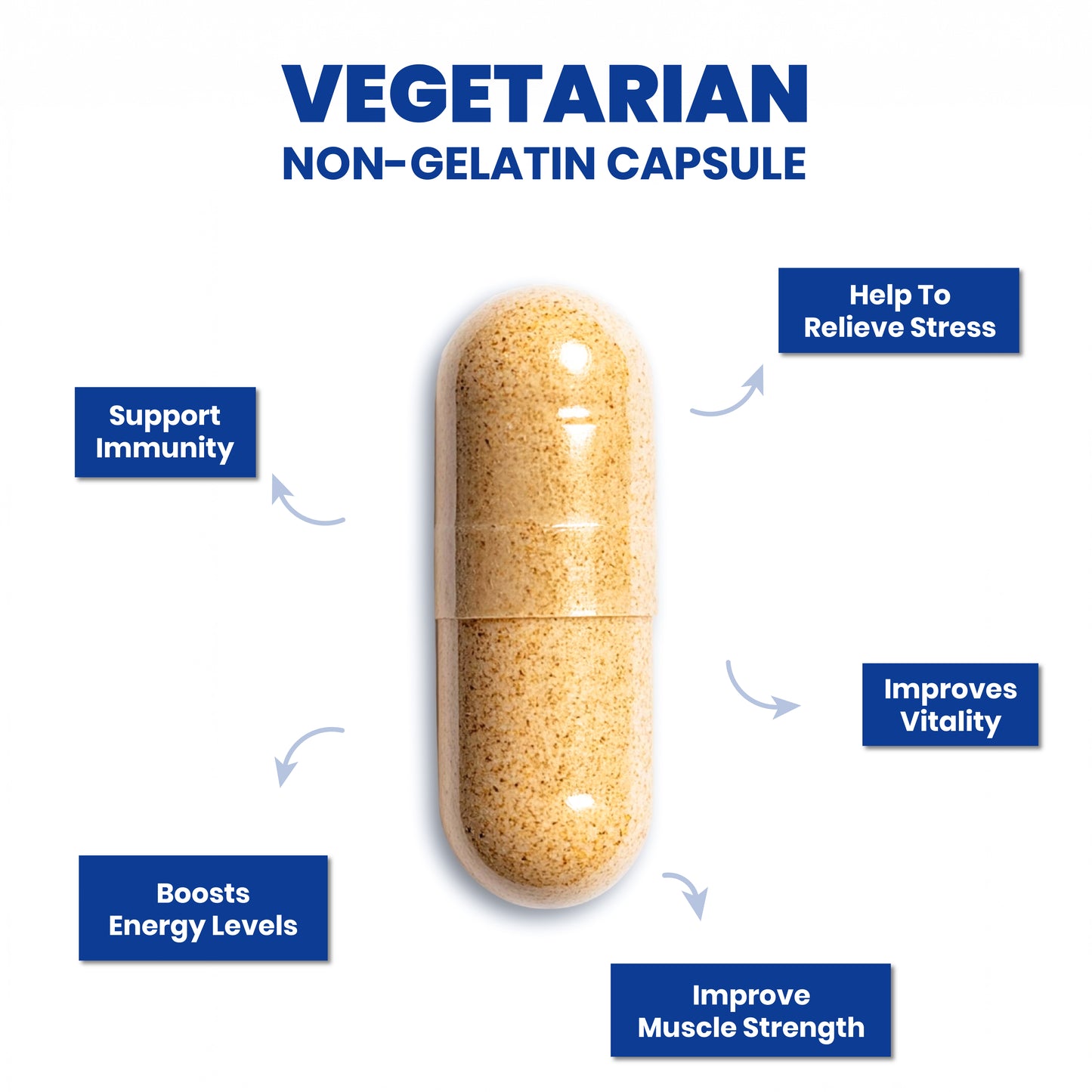 eleone by Bolt Ashwagandha (60 Veg Capsules) | standardized to 5% Withanolides | Support strength & energy