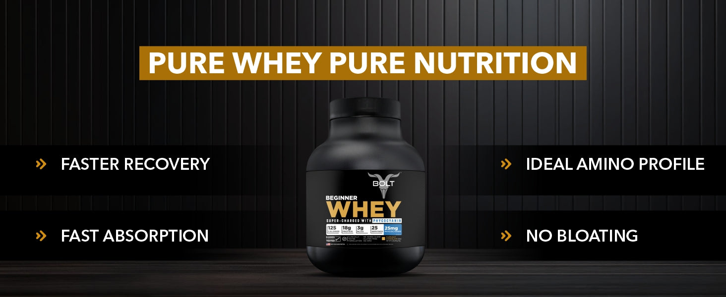 beginner whey protein, whey protein powder, whey protein