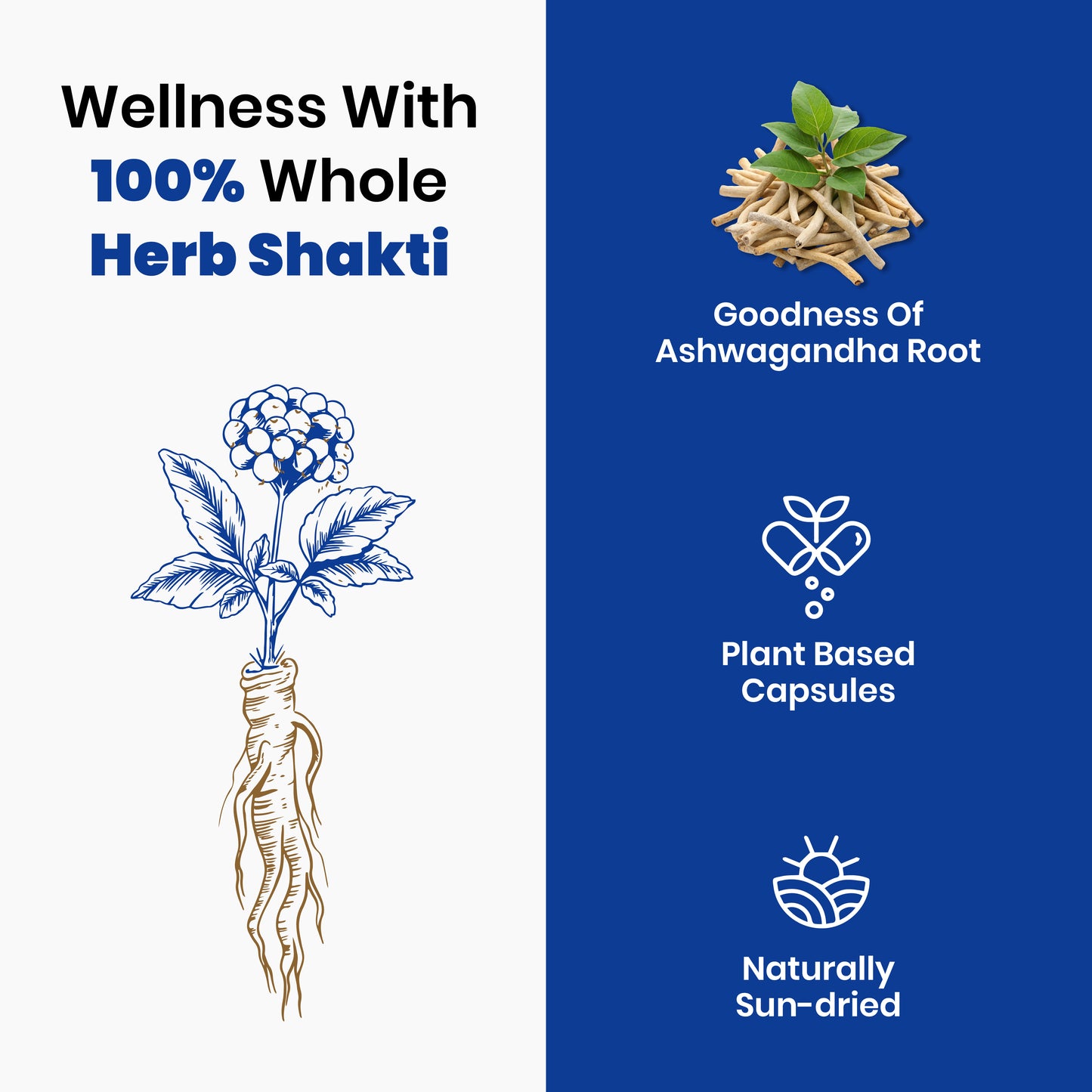 eleone by Bolt Ashwagandha (60 Veg Capsules) | standardized to 5% Withanolides | Support strength & energy