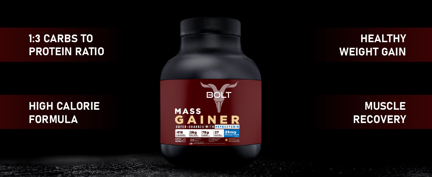 beginner whey protein, whey protein powder, whey protein
