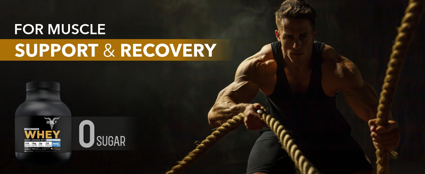 beginner whey protein, whey protein powder, whey protein