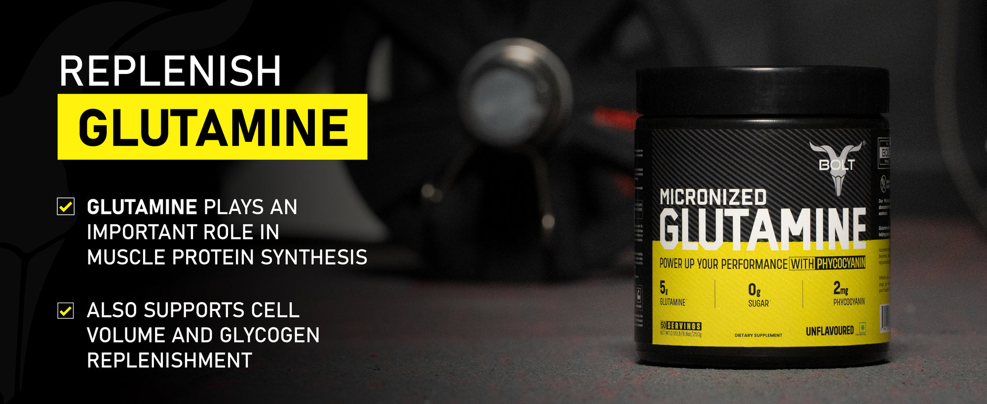 beginner whey protein, whey protein powder, whey protein