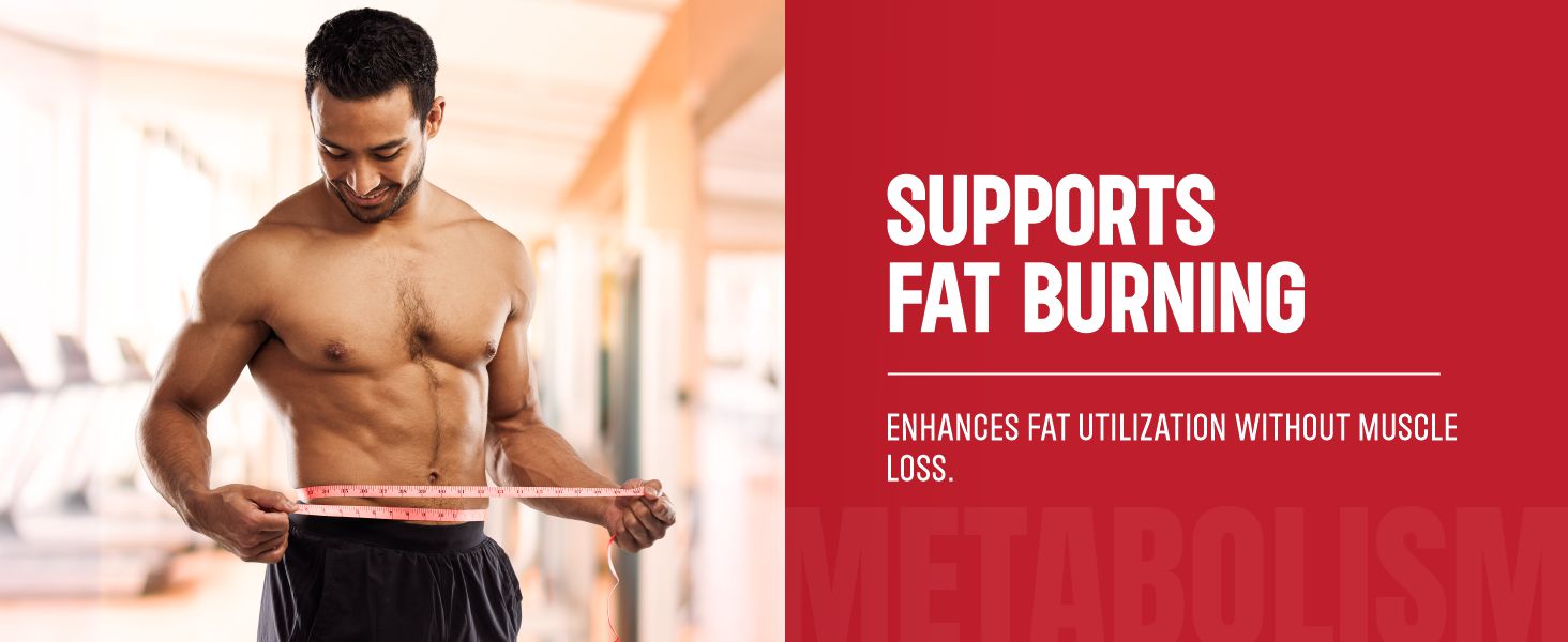 beginner whey protein, whey protein powder, whey protein