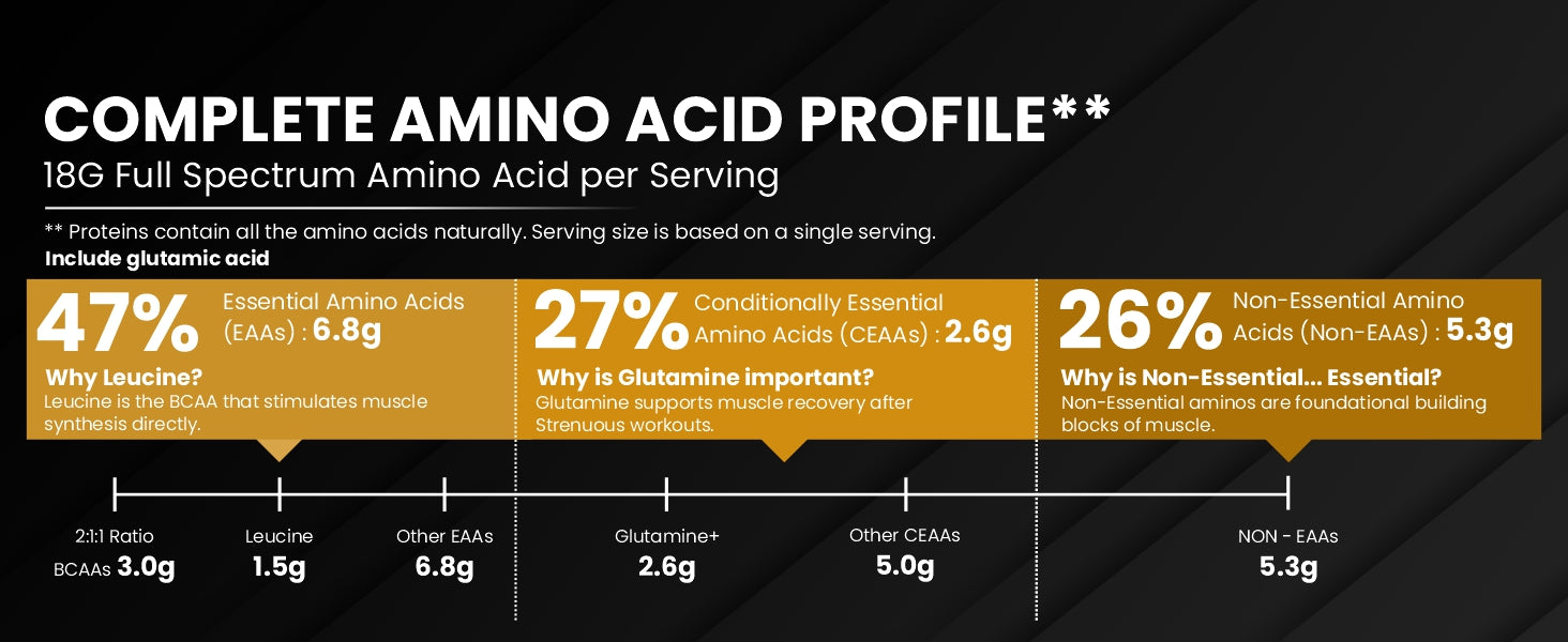 beginner whey protein, whey protein powder, whey protein