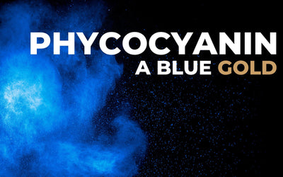 EFFECTS OF PHYCOCYANIN ON ATHLETIC PERFORMANCES