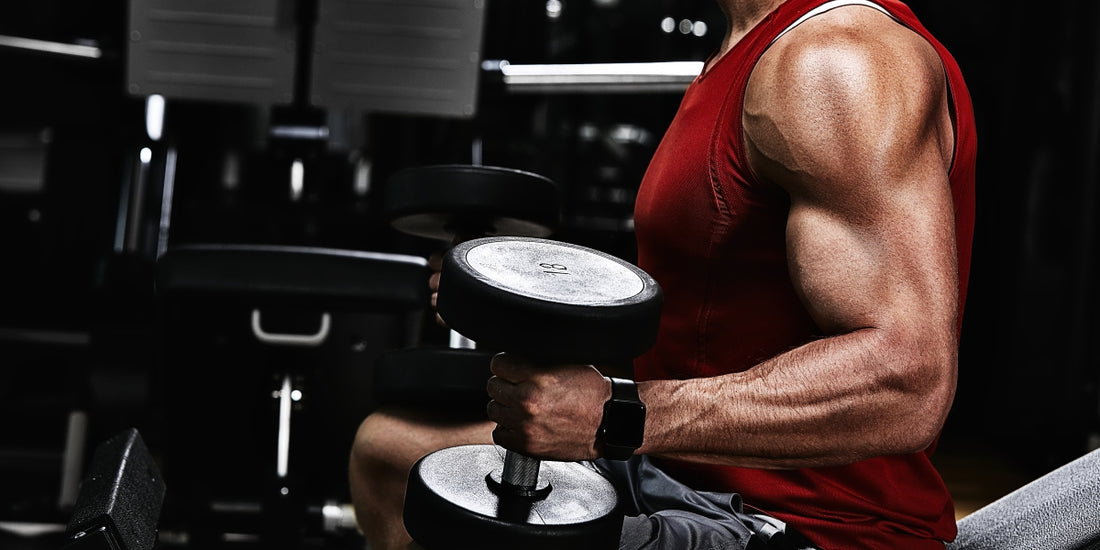 Can You Use Creatine While Cutting? The Answer Might Surprise You