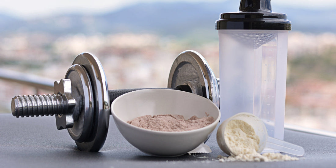 Why you should have proetin with water