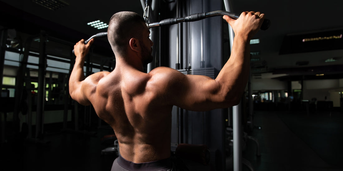 Understanding Hypertrophy: How Protein fuels muscle growth and development