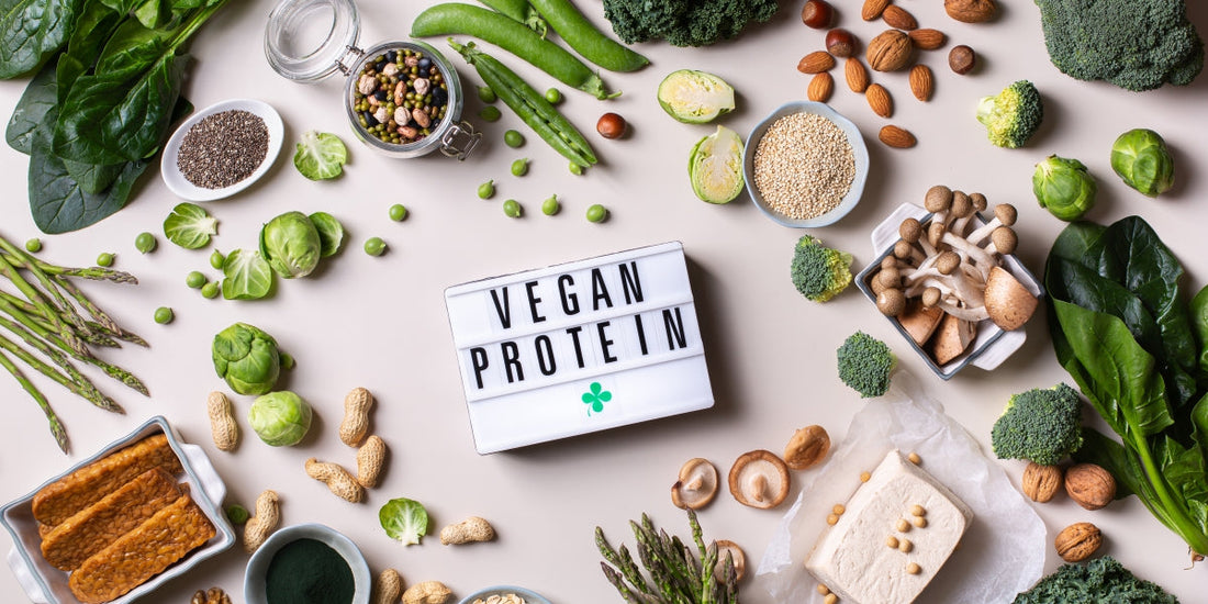 How Plant Protein Can Benefit Women - The Truth About This Essential Nutrient