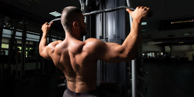 Understanding Hypertrophy: How Protein fuels muscle growth and development