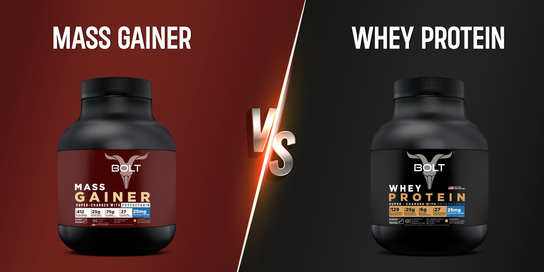 Mass Gainer vs Whey Protein: Which is Better for You?