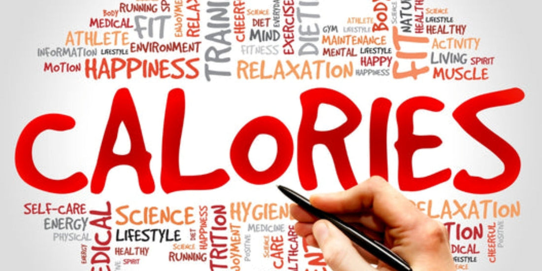 .-Bolt Nutrition India-Bolt Nutrition-