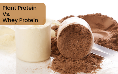 Plant Protein Vs. Whey Protein: Choose The Right One For You