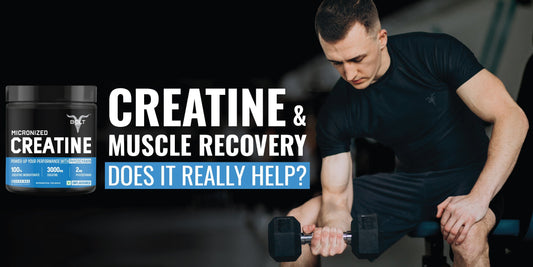 Athlete performing dumbbell curls with micronized creatine supplement jar highlighting creatine for muscle recovery and strength support.