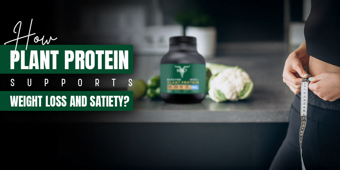 Bolt Plant Protein powder supporting weight loss and satiety – vegetarian protein supplement