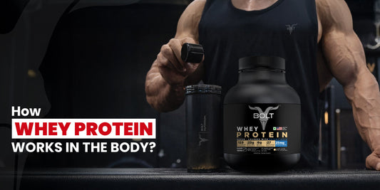 how whey protein works in the body