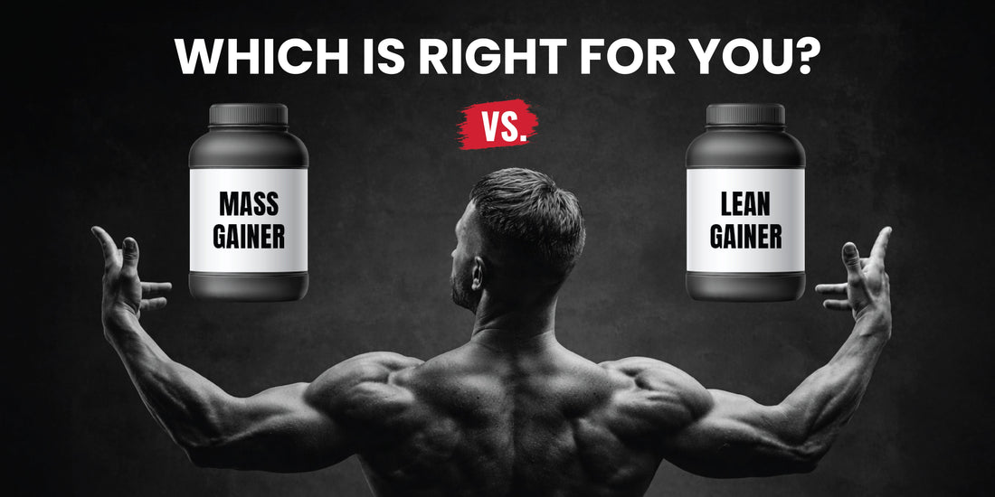 Difference between Mass Gainer and Lean Gainer for muscle growth, weight gain, and lean bulking explained