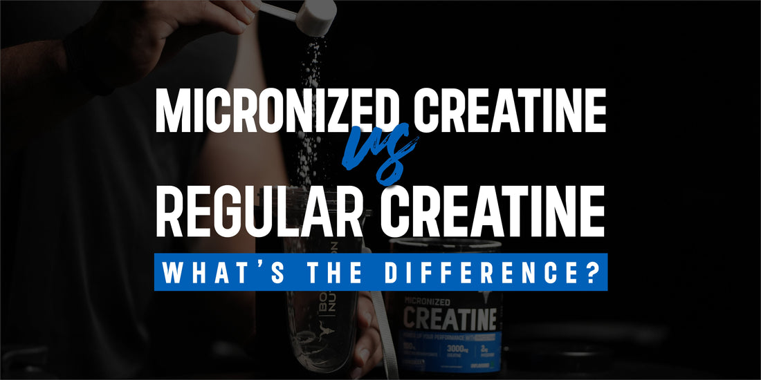 Micronized Creatine vs. Regular Creatine – What’s the Difference?
