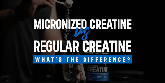 Micronized Creatine vs. Regular Creatine – What’s the Difference?