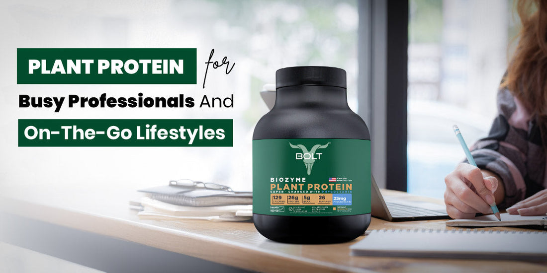Plant Protein for Busy Professionals and On-The-Go Lifestyles