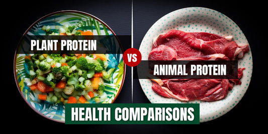 Plant Protein vs Animal Protein: Health Comparisons