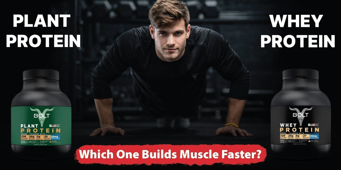 Plant Protein vs Whey Protein: Which One Builds Muscle Faster?