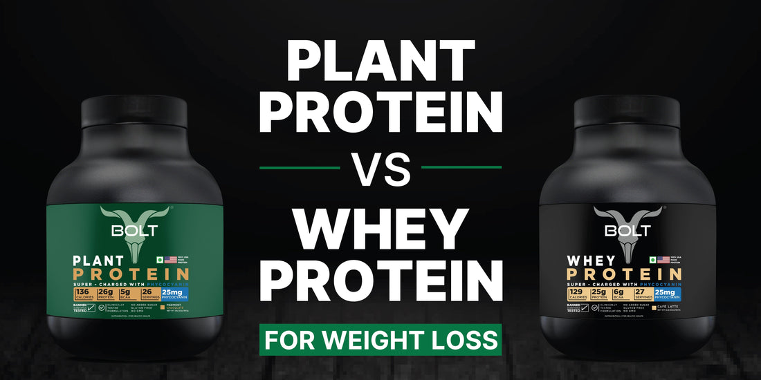 Plant protein vs whey protein supplement jars comparison for weight loss and fat burning support.