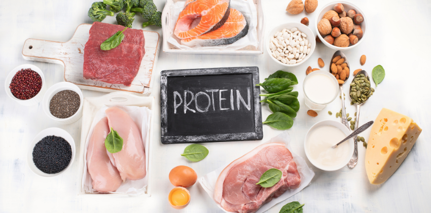 THE IMPORTANCE OF PROTEIN