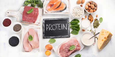 THE IMPORTANCE OF PROTEIN