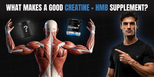 What makes a good creatine hmb supplement