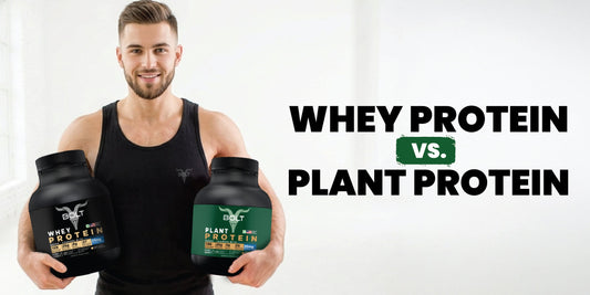 Whey Protein vs Plant Protein comparison showing benefits, differences, and fitness use cases