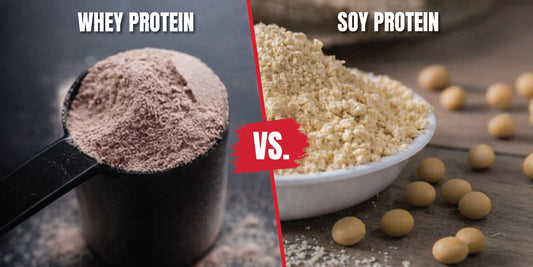 whey protein vs soy protein comparison