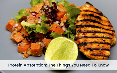 Protein Absorption: The Things You Need To Know