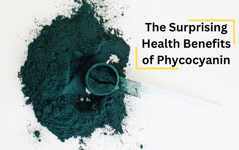 Pyoxanthin The Surprising Health Benefits of Phycocyanin – Bolt Nutrition