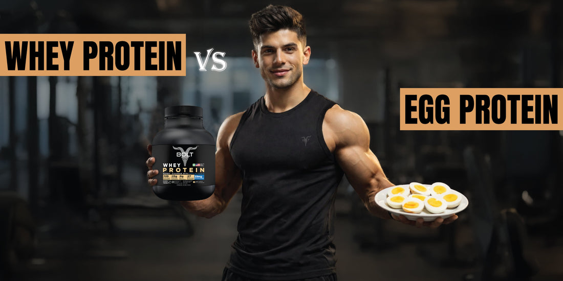 Whey protein vs egg protein comparison for muscle gain, digestion, and fitness performance