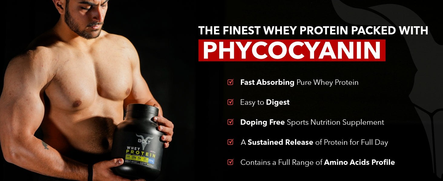 beginner whey protein, whey protein powder, whey protein