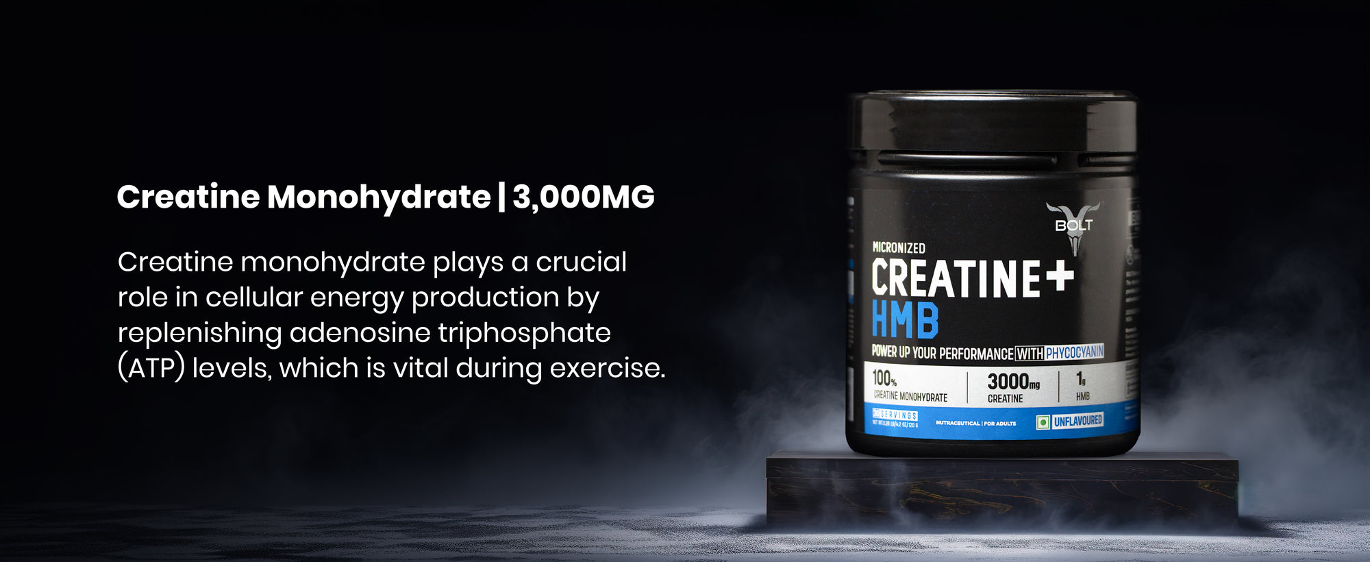beginner whey protein, whey protein powder, whey protein