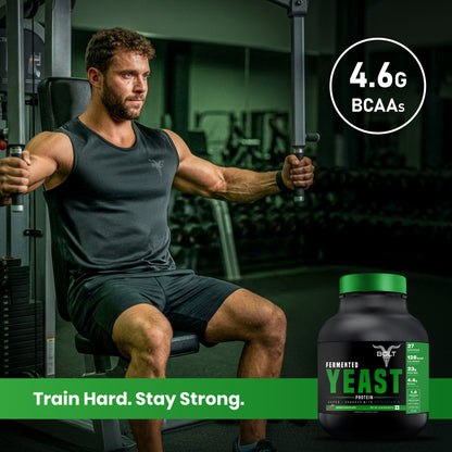 bolt fermented yeast protein with 4.6 BCAAs swiss chocolate