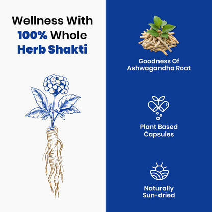 eleone by Bolt Ashwagandha (30 Veg Capsules) | standardized to 5% Withanolides | Support strength & energy