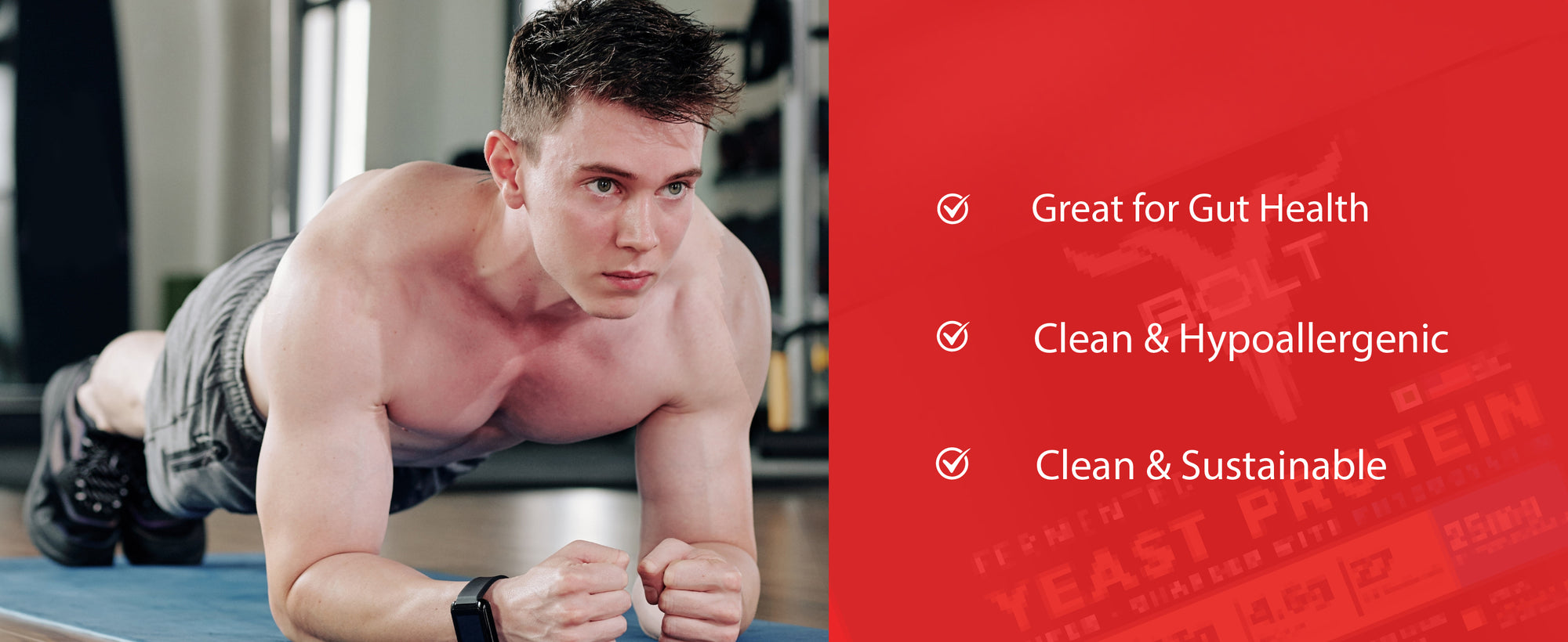 beginner whey protein, whey protein powder, whey protein