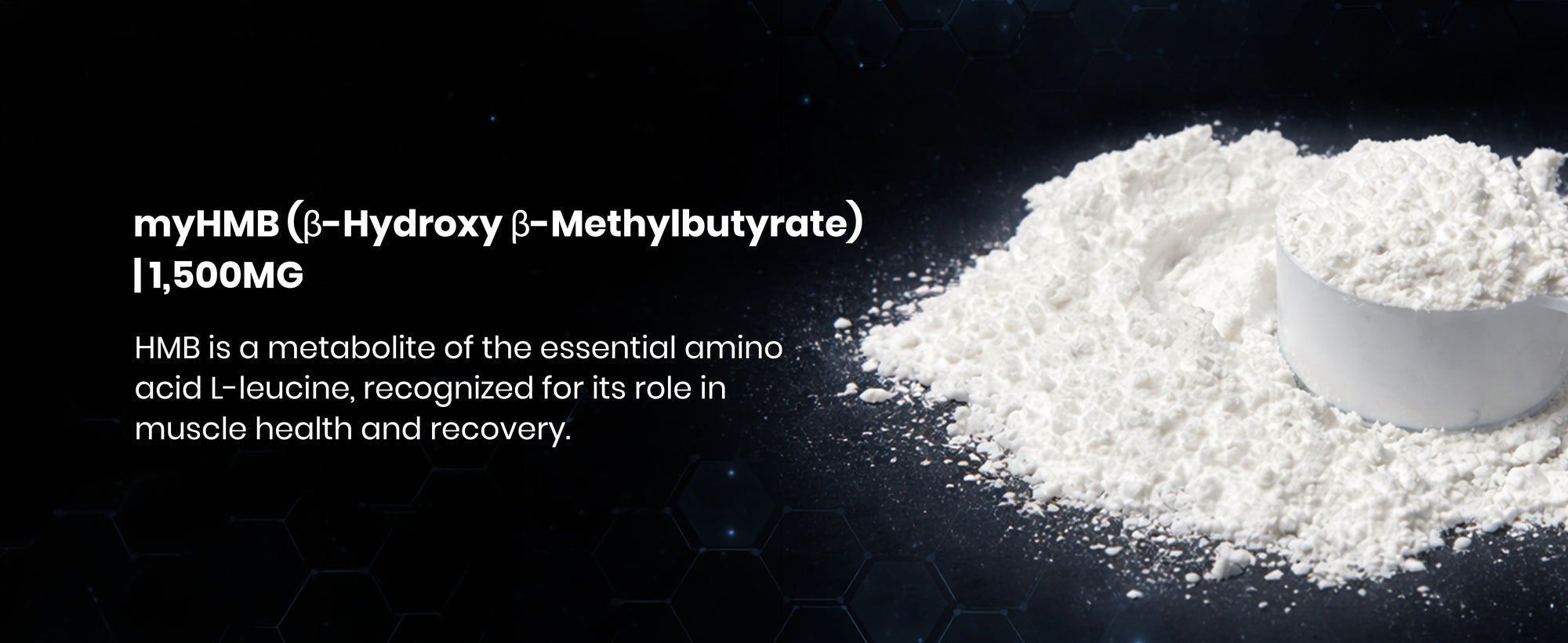 beginner whey protein, whey protein powder, whey protein